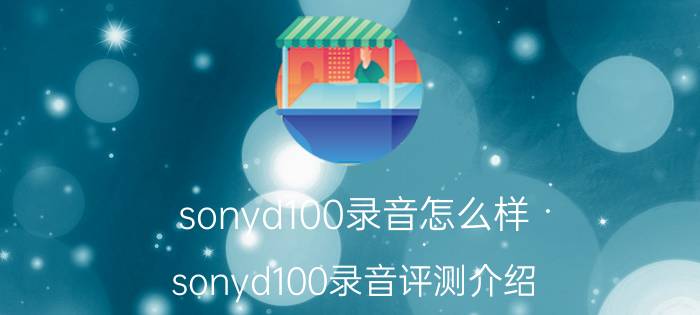 sonyd100录音怎么样 sonyd100录音评测介绍